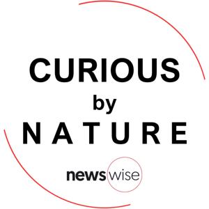 Curious by Nature