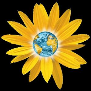 ارتباط بدون خشونت