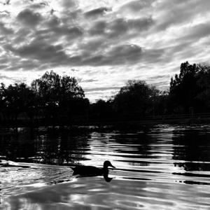 Klagelieder eines introvertierten Barbaren