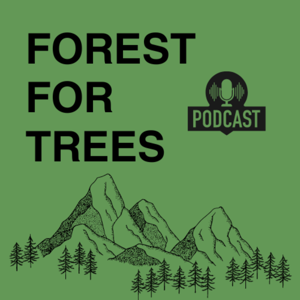 Forest For Trees