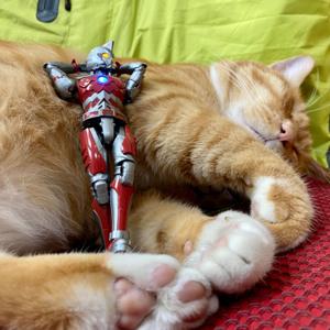 路人甲（粤语播客）