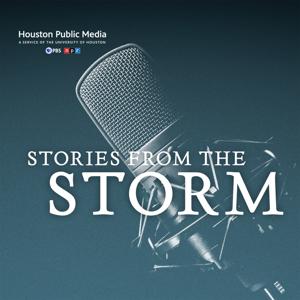 Stories from the Storm