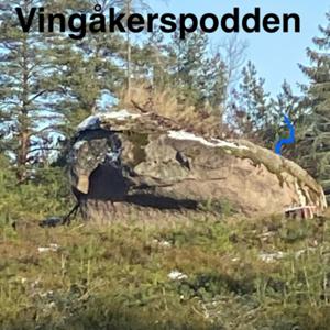 Vingåkerspodden Politik i Vingåker på mitt sätt för dig