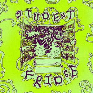 Student Fridge