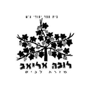 קול לובה אליאב - ערוץ הסכתים בית ספרי