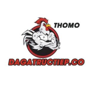 Đá Gà Trực Tiếp Thomo