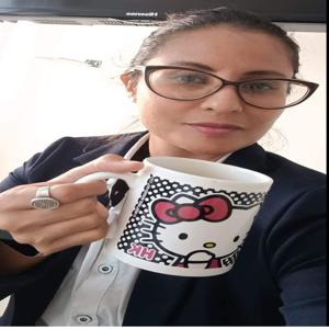 Usabilidad de las TICs