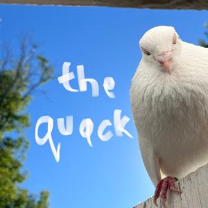 The Quack