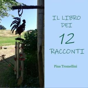 Il libro dei 12 racconti