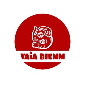 VAIA BIEMM con los audiolibros