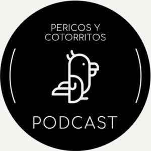PERICOS Y COTORRITOS