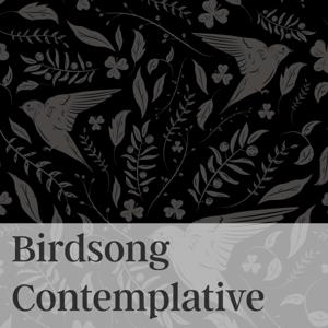 Birdsong Contemplative