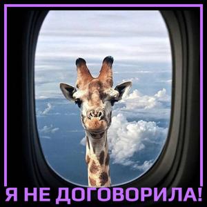 Я не договорила!