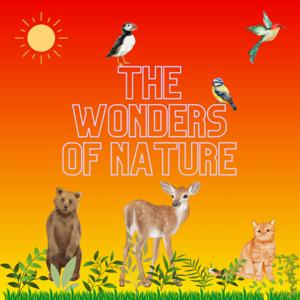 The Wonders of Nature by Ibrahim and Hana