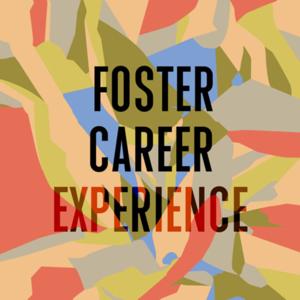 Foster Career Experience