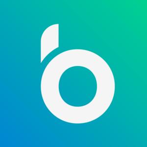 Bloople's Online Business Blueprint