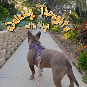 Walking Thoughts With Miya