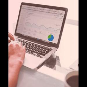 White label digital marketing agency