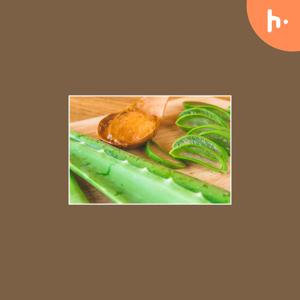 Nature's Elixir: Essential Ingredients for Healthy Skin