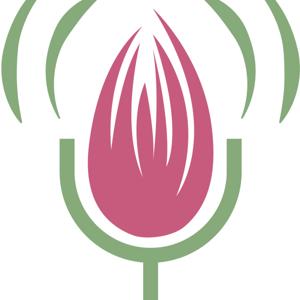 Kissa: A Story Podcast