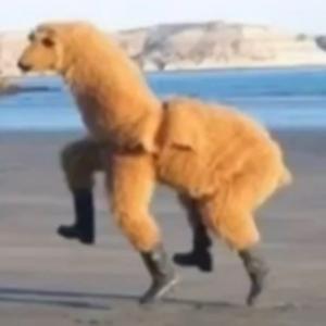 and the void screamed back