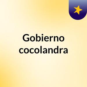 Gobierno cocolandra