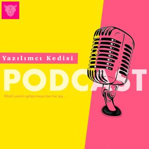 Yazılımcı Kedisi