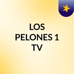 LOS PELONES 1 TV