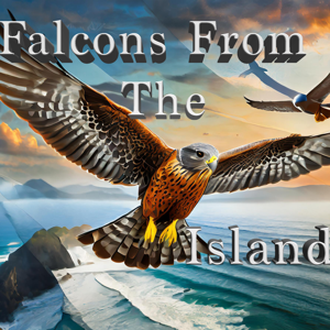 Falcons From The Island