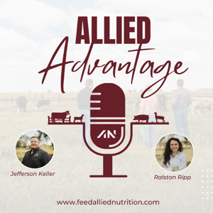 The Allied Advantage