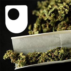 Cannabis, Consciousness and the Imagination - for iPad/Mac/PC