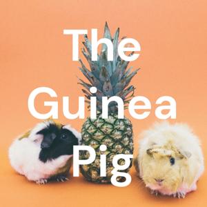 The Guinea Pig