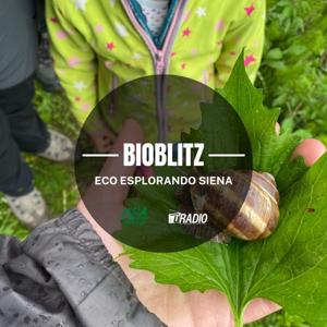 BioBlitz