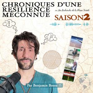 Chroniques d'une Résilience Méconnue ou Ma quête de la pleine Santé