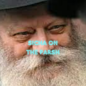 sicha on the parsha