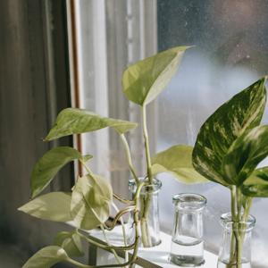 Arlen's Test Podcast