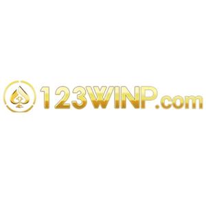 123winp.com