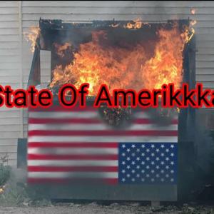 The State Of Amerikkka