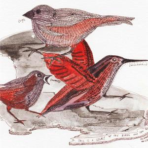 Radio Reversal Podcast