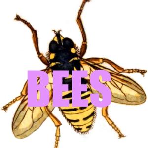 Bees