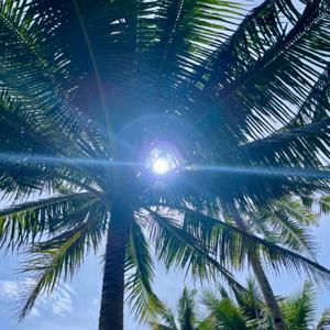 Conversations with Myself