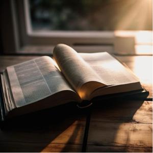 Voz Bíblica: Lecturas Apasionadas de la Palabra