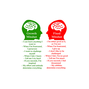 Mindset Mill
