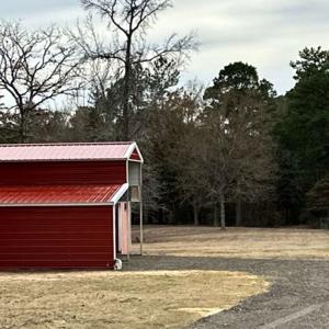 The Trunk You Lent Turtle