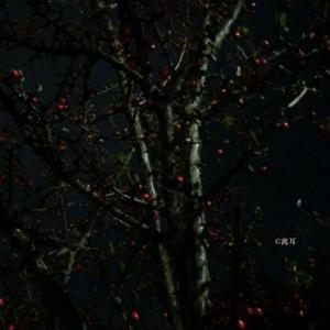 Bilingual Readings of Spring '24 Issue