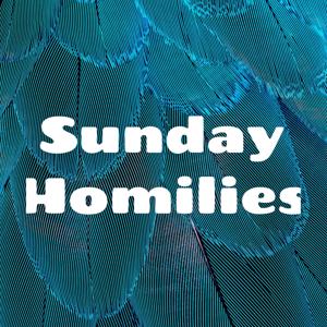Sunday Homilies