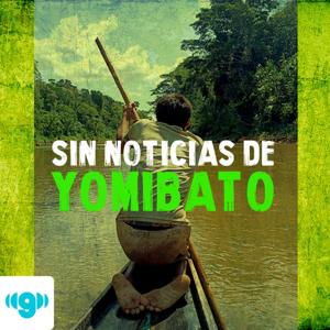 Sin noticias de Yomibato