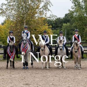 WE i Norge