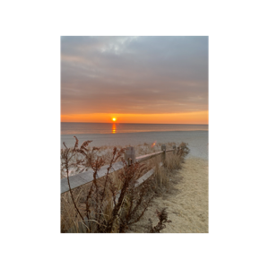 Wellness Waves: Body Image