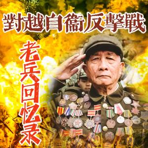 对越自卫反击战老兵回忆录（多人）